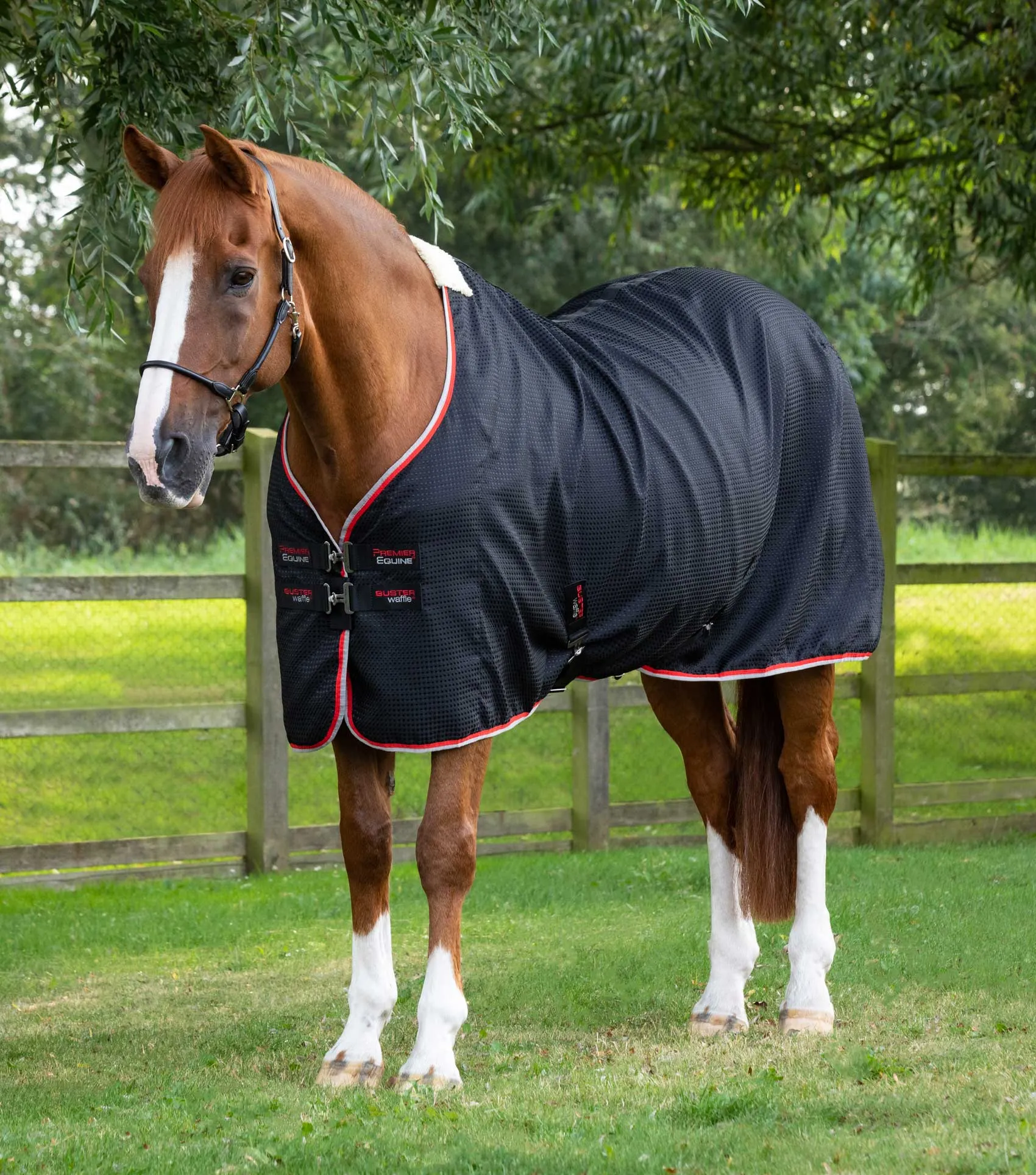 Buster Waffle Horse Cooler Rug Black