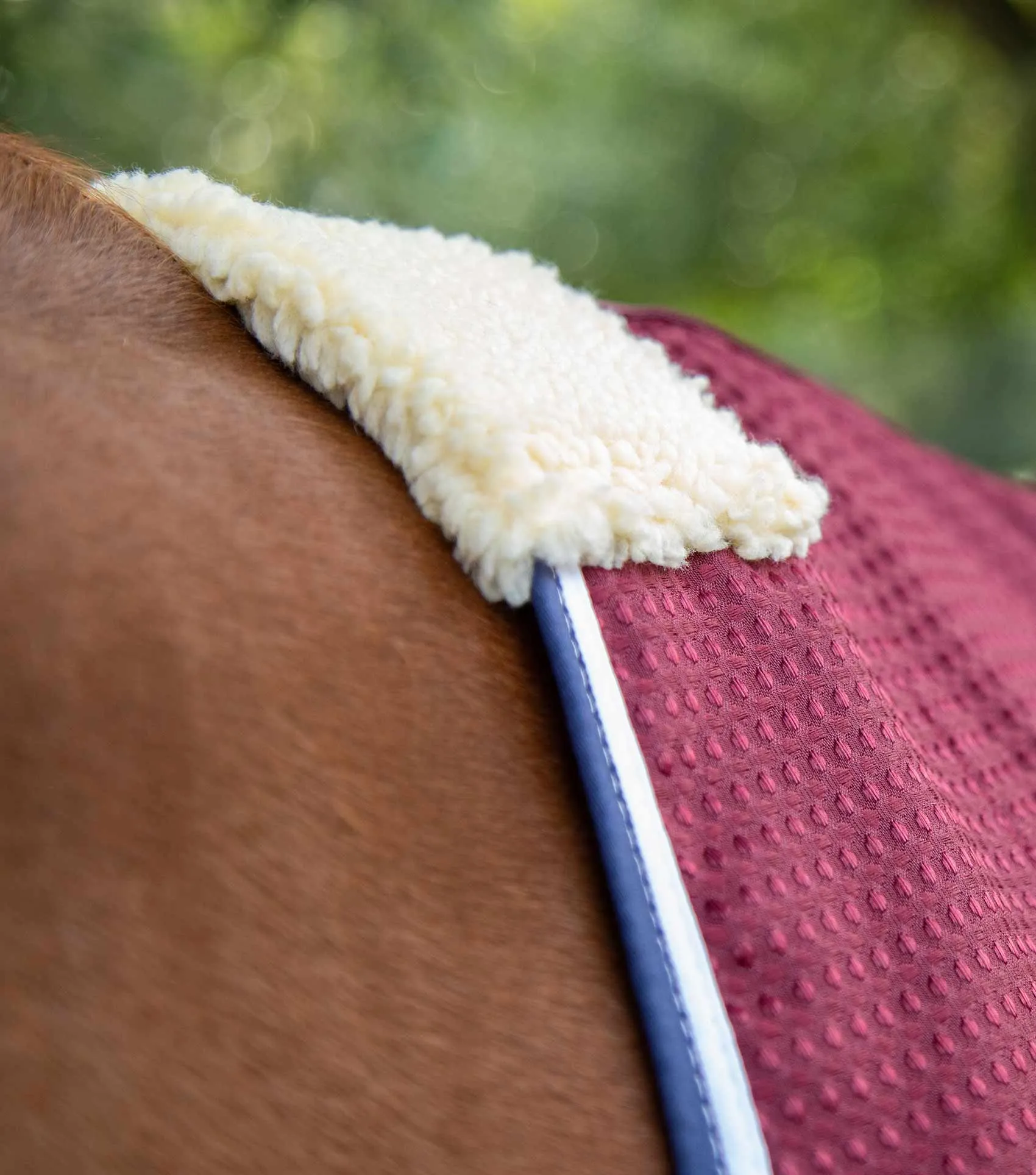 Buster Waffle Horse Cooler Rug Burgundy