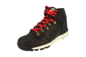 Nike Sb Dunk High Boot Mens Hi Top Trainers 806335 012